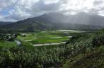 Plantações de taro (nhame), perto de Hanaley Bay, na costa norte de Kauai, no Havaí